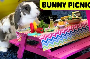 Rabbit Eating at a Picnic Table