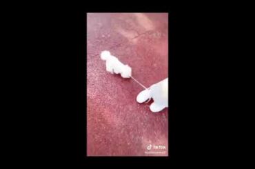 TikTok Pets: Funny and Cute Pets Compilation : Funny and Cute Baby Bunny Rabbit Videos