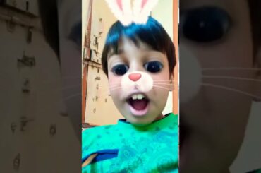 Cute baby rabbit