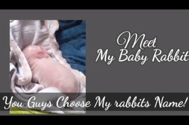 MEET MY BABY RABBIT💖 YOU GUYS CHOOSE NAME !!