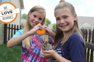 Our cute baby bunny 10 days later