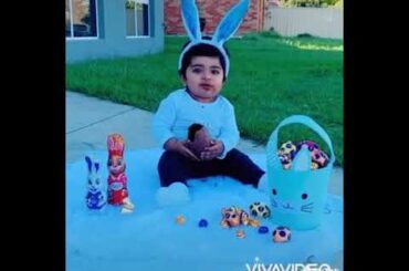 Easter Bunny