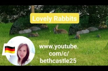 Life in Germany, the lovely rabbit #vloggnibethcastle25 #lifeingermany #gutenmorgendeutschland