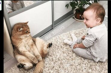 A cute baby and a cat - A baby and a cat play extremely funny