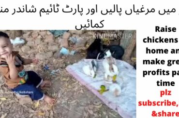 how to cute baby enjoying with rabbits & hens,Raise chickens at home and make great profits