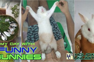 My Day With Funny Bunnies | Funny And Cute Baby Bunny Rabbit Videos | Funny Baby Bunny Rabbit Videos