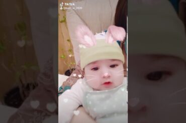 funny babybunny