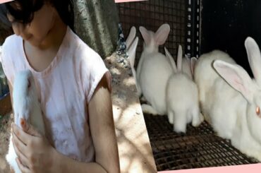 Cute rabbits and babies|| mariyam playing with baby bunny rabbit || Mariyam khansa_mariyam vlogs