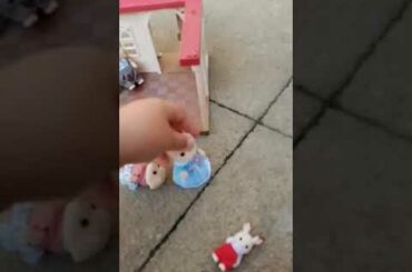Baby bunny rabbit bounsing and breaking her ear