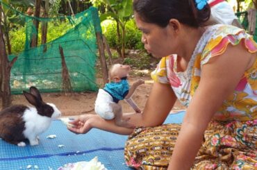 Lip Smacking!! Most Adorable Tiny Abi Reacts Cute Face To Baby Albert While Mom Feeding The Bunny