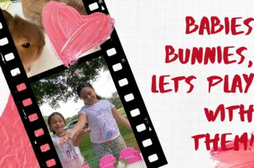 Babies bunnies, lets play with them.