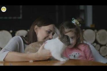 rabbit videos for kids | rabbit videos funny | rabbit videos cute | rabbit videos 2020