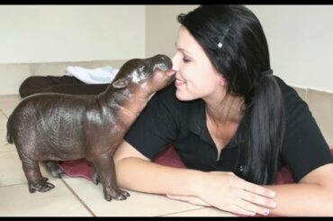 Top Cutest Baby Animals Who Wants One