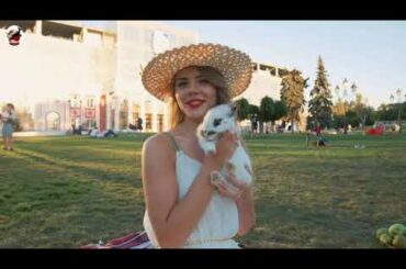 rabbit videos for kids | rabbit videos funny | rabbit videos cute | rabbit videos 2020