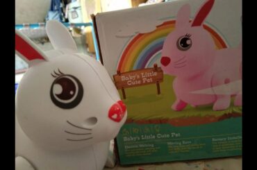Cute rabbit toy video