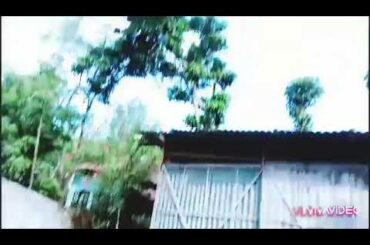 Aji moi bohut khelilu #morning vlog#cute rabbit guddu