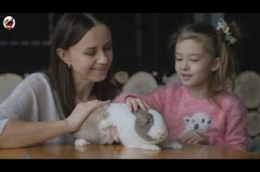 rabbit videos for kids | rabbit videos funny | rabbit videos cute | rabbit videos 2020