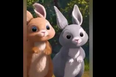 Cute rabbit
