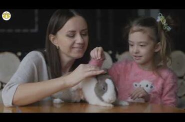 rabbit videos for kids | rabbit videos funny | rabbit videos cute | rabbit videos 2020