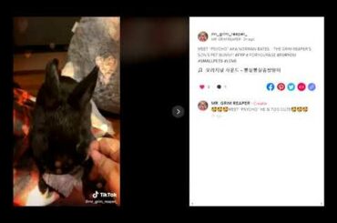 MEET OUR CUTE BUNNY “NORMAN BATES” AKA “PSYCHO” (MY BABY RABBIT TIKTOK)