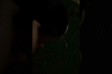 Cute bunny move her ear when I pet her on the cheek