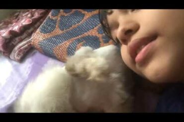 My little cute bunny I mean not little bunny a large Bunny