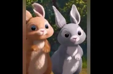 Cute rabbit for status, 🐰