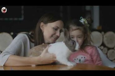 rabbit videos for kids | rabbit videos funny | rabbit videos cute | rabbit videos 2020