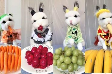 New Update! Cute Baby Rabbit Eating Sound Challenge_ Apple,Banana,Dragon fruit,Orange,Watermelon