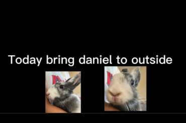 Bring bunny to outside play!