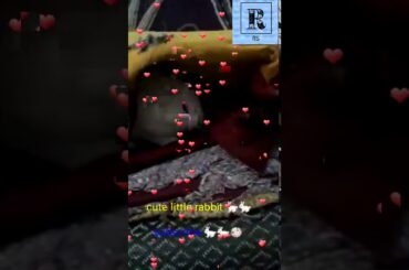 🎁🐇🐇🐇first  world Dancing baby rabbit with cute action and make funny action 🐇🐇🐇🐇🐇🐇🐇🐇🐇