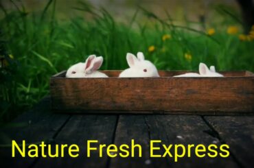 Nature Beauty, so cute babies 💚