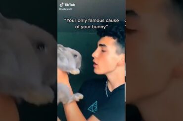 Cute bunny😍😇😊