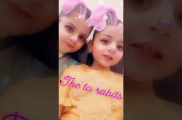 Rabbits, cute  🙈🙈جوانە کەریشک