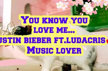 Justin bieber - baby cut song ft.ludacrus🥰my cute rabbits ❣️animals funny videos 🥰music lover