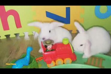 Twinkle Twinkle Little Star + Nursery Rhymes 30 min with cute baby Bunnies/Dinosaurs Park