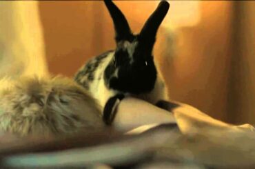 ibis 'Snuggling Bunnies' Behind The Scenes
