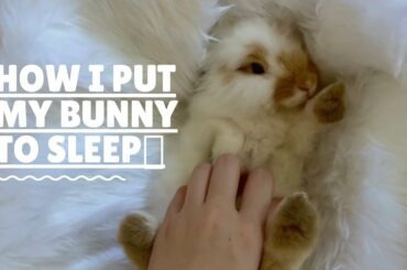 How i put my baby bunny to sleep 😴