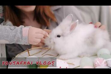 Funny and Cute Baby Bunny Rabbit Videos 🐇 Baby Animal Video Compilation 2020