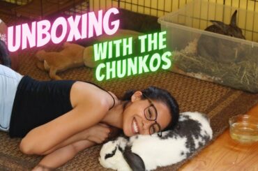 Unboxing Birthday Gifts with My Rabbits