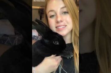 cute bunny tiktoks #3