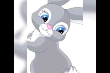 cute bunny photos