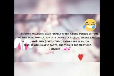 𝙲𝚞𝚝𝚎 𝚋𝚞𝚗𝚗𝚢 𝚝𝚑𝚒𝚗𝚔𝚜 𝚒𝚝'𝚜 𝚊 𝚕𝚒𝚘𝚗🤣🤣(𝚙𝚝.1)|𝚏𝚞𝚗𝚗𝚢𝚟𝚒𝚍𝚎𝚘|𝙴𝚖𝚒𝚎•𝚖𝚎•