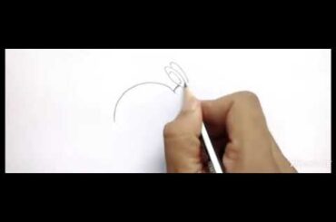 how to draw a best and cute rabbit step by step for begginers