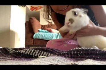My baby bunny🐇