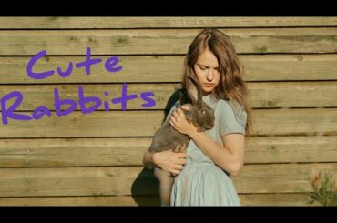 Cute Rabbits