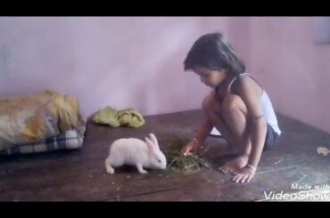 #animals #pet #funny baby Funny shreya and cute bunny video compilation | Try not to laugh 😁