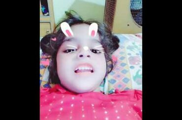 Cute bunny