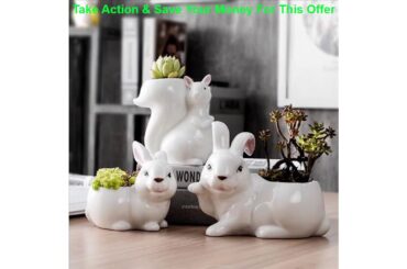 Best Ceramic Cute Rabbit Flower Pot Creative Animal Mini Pot For Flowers Balcony Gardening Succulen
