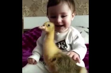 cute baby playing with a bird funny video | little baby funny video | so cute baby video | funny